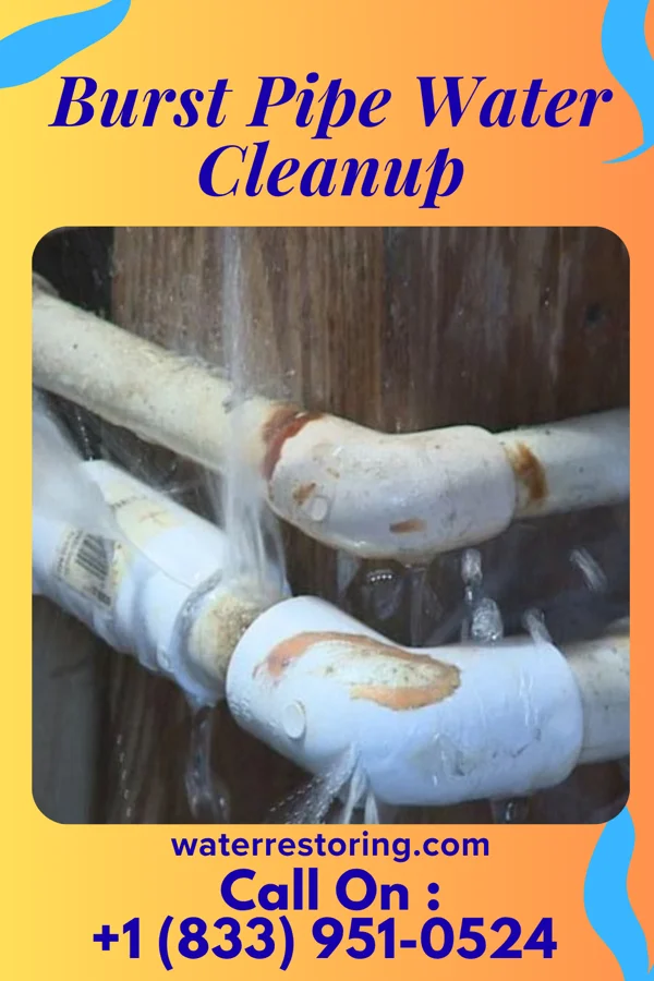Burst Pipe Water Cleanup in Concordia, NJ