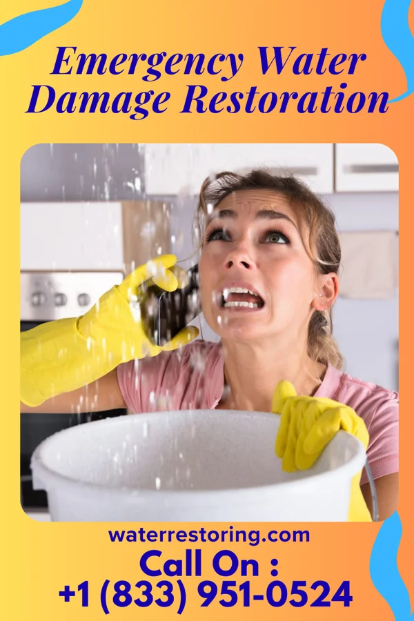 Emergency Water Damage Restoration in Concordia, NJ
