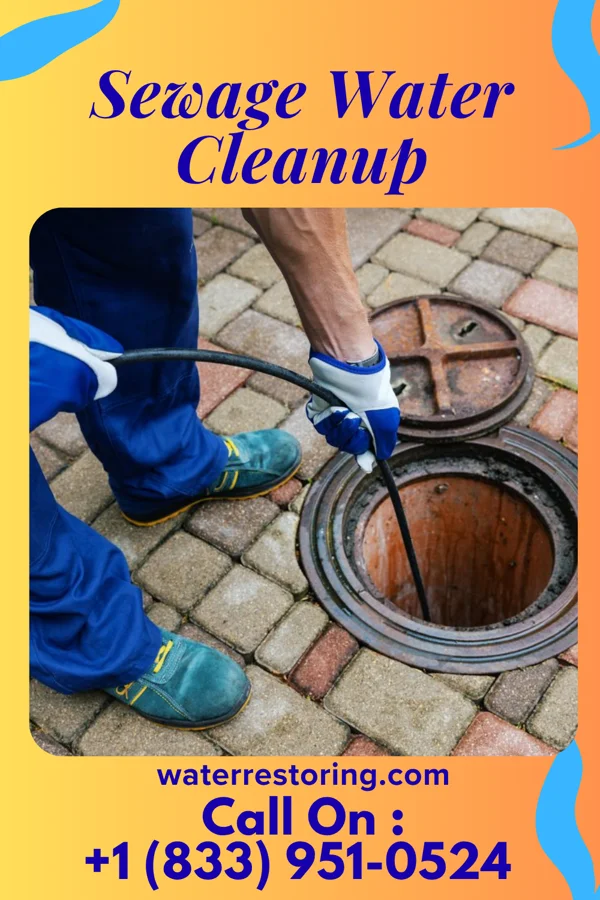 Sewage Water Cleanup in Concordia, NJ