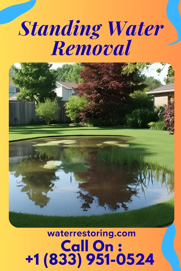 Standing Water Removal in Concordia, NJ